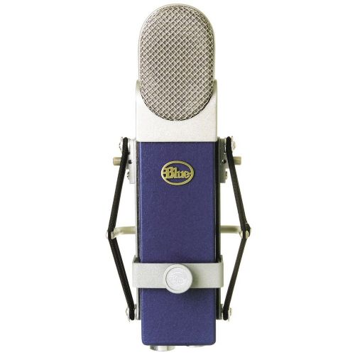 Студійний мікрофон Blue Microphones BLUEBERRY
